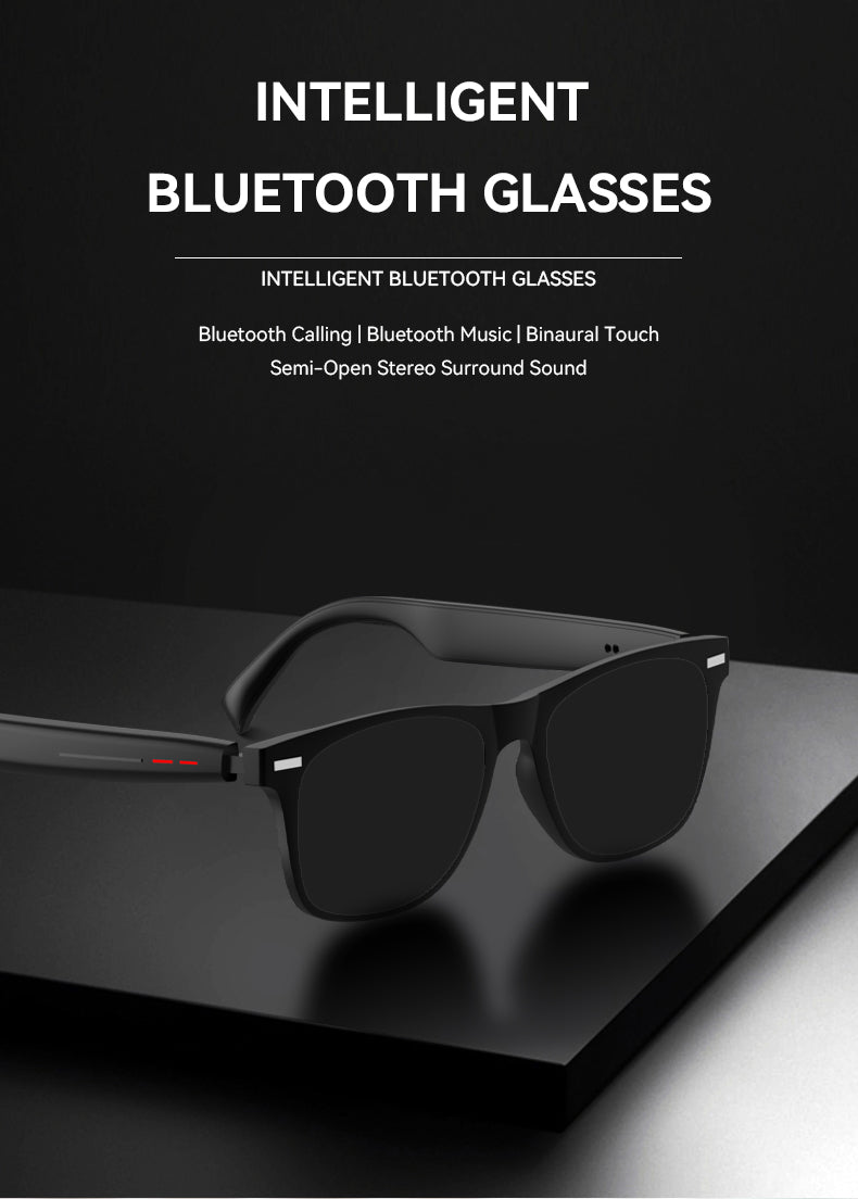 Smart Glasses D13